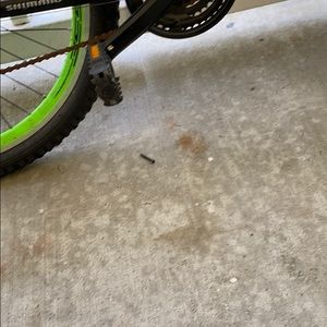 Meet your Posher, Rania